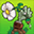 Icono de programa: Plants vs Zombies for Pok…