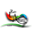 Icono de programa: Radio Tupac Amaru Canas