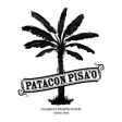 Icon of program: Patacon Pisa'o