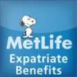 Icon of program: MetLife Expat