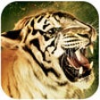 Icon of program: Roar - Song & Video