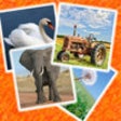 Icon of program: Toddlers Flashcards