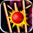 Icon of program: Cricket Ball Toss - Cool …