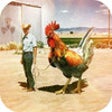 Icon of program: Funny Photoshop Pictures