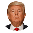 Icono de programa: Fake News Detector