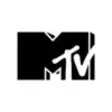 Icon of program: MTV India