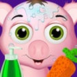 Icon of program: Little Pet Spa