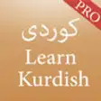 Icon of program: Learn Kurdish Pro