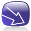 Icon of program: Chrome Downloads