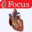 Icon of program: HEART - The Focus Digital…