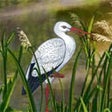 Icon of program: Magic Of Nature Screensav…