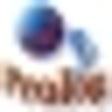 Icono de programa: SWI Prolog for Debian (64…