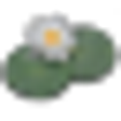 Icono de programa: LilyPond for Fedora (64-b…