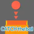 Icon of program: catchTheBall