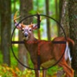 Icon of program: Whitetail Deer Hunter 2