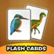 Icon of program: Kids Animal Flash Cards