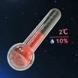 Icon of program: Real 3D Thermo Weather Tr…