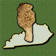Icon of program: Kentucky Mushroom Forager…