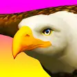 Icon of program: Eagle Ride