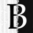 Icon of program: Blanks