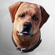 Icon of program: Dex: Your AR Dog Companio…