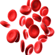 Icon of program: Haematology - Hematology …