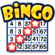 Icon of program: Bingo Drive