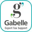 Icon of program: Gabelle LLP - Tax Consult…