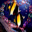 Icono de programa: Bubble Fish Live Wallpape…
