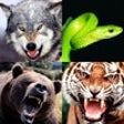 Icon of program: Animal Sounds!