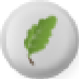 Icon of program: Gaia Family Tree