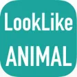 Icon of program: AnimalCam : Camera app th…