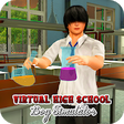 Icon of program: Virtual High School Boy R…
