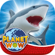 Icon of program: PLANET WOW Sharks
