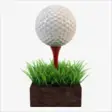 Icon of program: Mini Golf Club for Window…