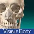 Icon of program: Skeleton Anatomy Atlas: E…