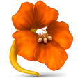 Icon of program: Nasturtium Player
