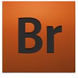 Icon of program: Adobe Bridge CC