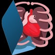Icon of program: Corpo Humano - EvoBooks