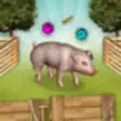 Icon of program: Pig vaccination game