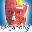Icon of program: 3D Organon Anatomy for Wi…