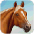 Icon of program: Farm Hill Climb Horse