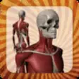 Icon of program: Anatomy Muscle and Bone: …