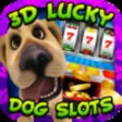 Icon of program: 3D Lucky Dog Slots - Free…
