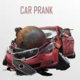 Icon of program: Wreck My Car Prank