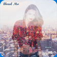 Icon of program: Artistic Blending Filters…