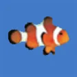 Icon of program: Clownfish for Skype for W…