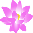 Icono de programa: Cuidar de Orquideas
