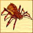 Icon of program: Tarantula Spider Insect G…