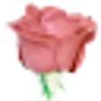 Icono de programa: ScanTango
